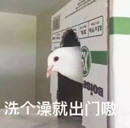 沙雕合集表情包你再跟我beebee