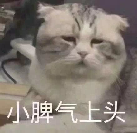 成都买房成发紫悦府取得预售证,成发紫悦府怎么样