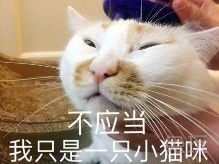 电子竞技菜是原罪浅谈lpl背锅位打野