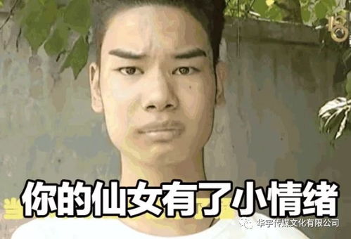 发际线男孩一夜爆火,谁说钱买不来快乐花4万理个发就很开心