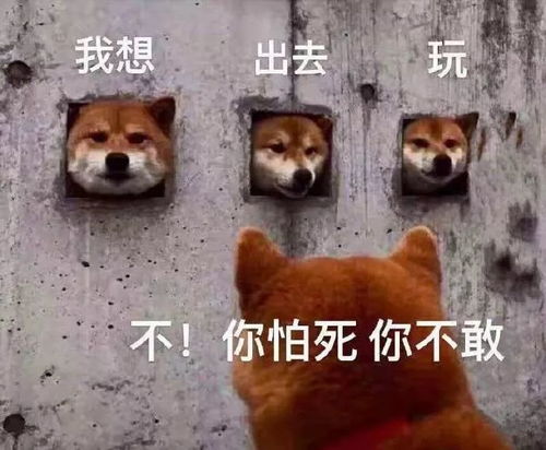 你满意了吗