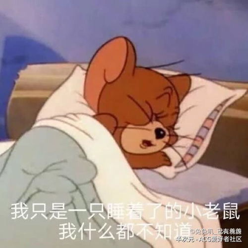 当猫和老鼠看到自己的表情包时十五