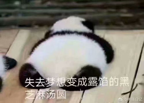 翻车