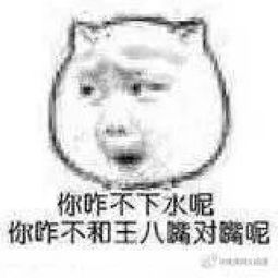 你咋不下水呢,你咋不和王八嘴对嘴呢