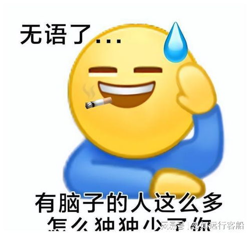 分享摆烂系列表情包,不仅有点傻傻的还很可爱无水印版