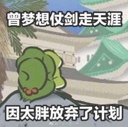 编辑动图表情包的软件猫薄荷