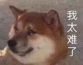 头发君惨遭谋杀,凶手到底是谁