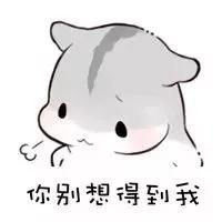 真仓鼠撩妹表情包整套萌图全是套路