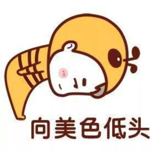 雁湖寻找醉美花海女神短视频大赛火热来袭