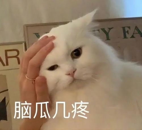 2022高校毕业生超1000万人,新生儿不足千万,谁跳脚了我不说