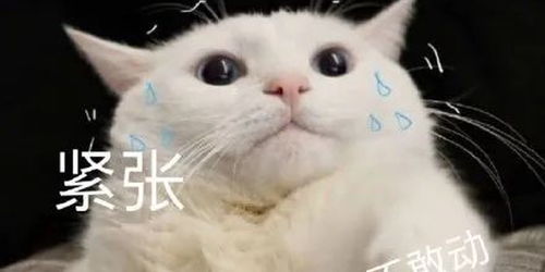 微信群里发这种表情包,男子被拘9天