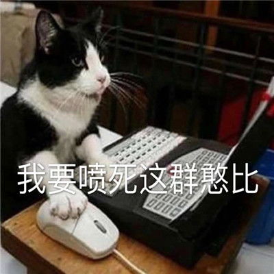 趣味又好笑的聊天表情包无水印心情写在脸上表情包