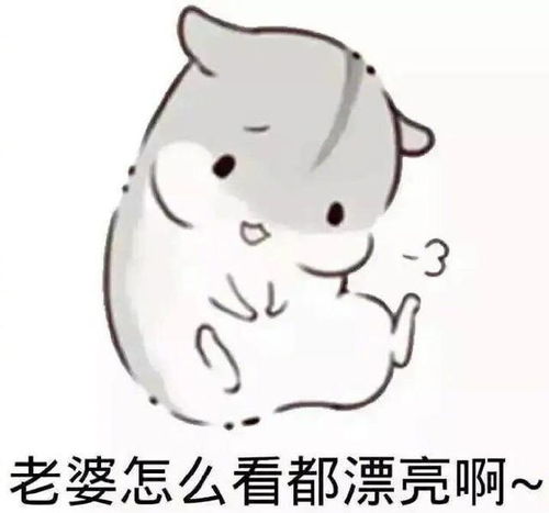 哄老婆表情包老婆大人对不起好喜欢老婆我老婆超级可爱