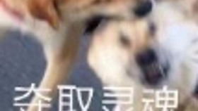 卖了你买糖吃表情包沙雕