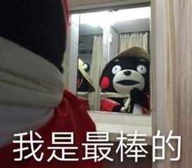 是什么让你冷静下来,投案自首的呢
