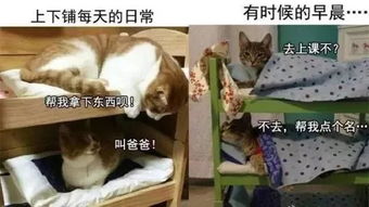 特色室友宿舍不大,奇葩不少