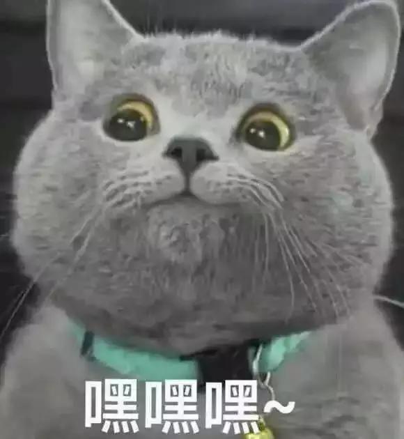 火速围观小鲜肉女神老戏骨又在这里拍戏了
