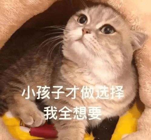 求推荐,那些平价又好用的口红,不允许错过这么多好用又便宜的宝藏口红