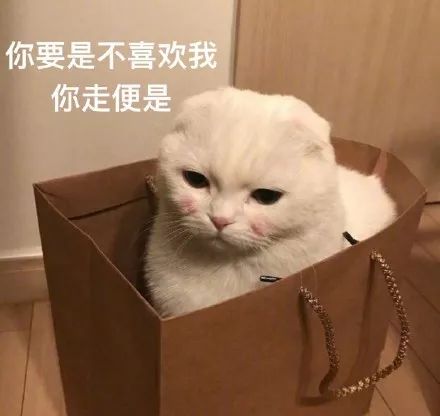 mmm回来吧脑洞哟