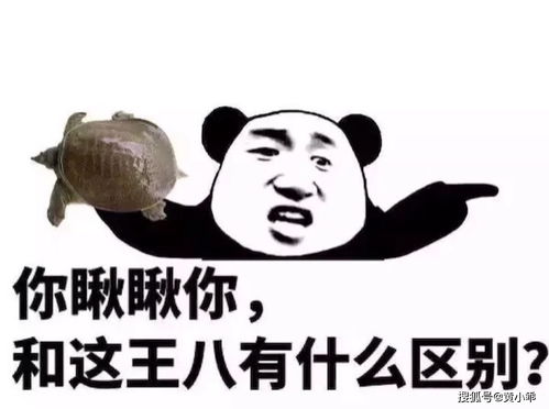 打麻将表情包搞笑图片五分钟