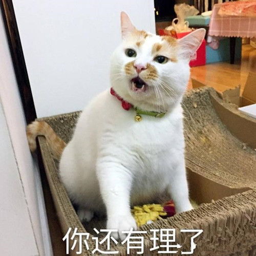 欢笑集锦然后她就看着手里的优酸乳盒子哭了