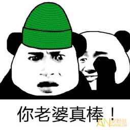 绿帽子表情包要坚强绿帽子表情包图片选择原谅她绿帽子图安粉丝手游网
