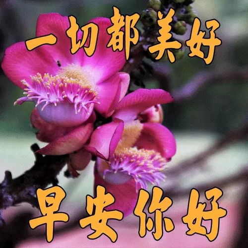 一天的心情靠随和,一生的幸福靠随缘,朋友们,早上好人生