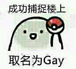 成功捕捉楼上取名为受什么意思这个受啥意思