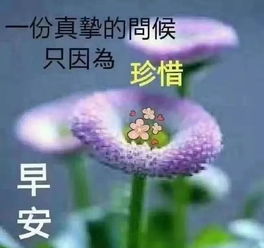 早上好短信祝福语最新版,2019最美早上好问候语祝福表情图片大全