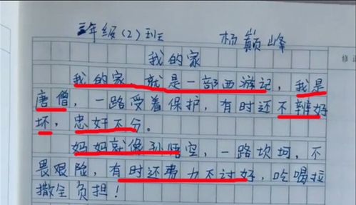 小学生作文西游记之家,看到对爸爸的描述,网友直呼太真实