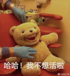 今天,五月天的歌迷哭了