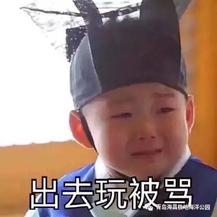 嫌弃溢于言表表情包自夸