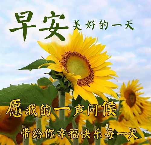 2021年早上好问候语温馨图片动态表情,清晨祝福语大全带字图片