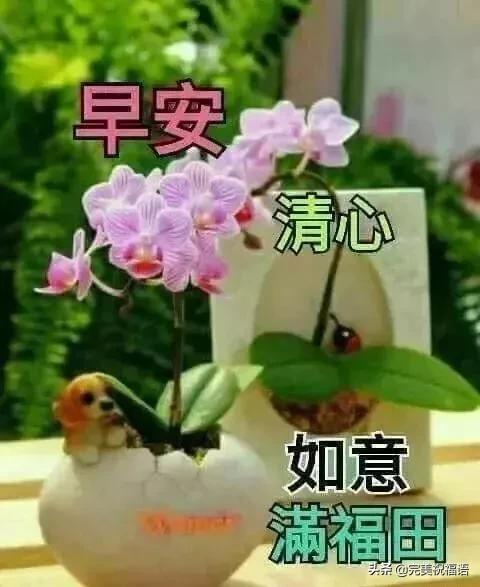 真正的朋友没有距离,不分远近,无所谓天涯,不在乎海角,早安