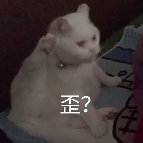 适合开头的表情包读书