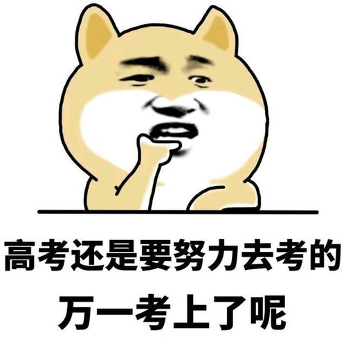 原来高考的时候也会很搞笑,网友哈哈哈哈笑岔气了