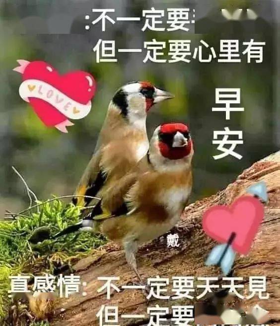 夏天早上好问候动态表情图片夏季早安带字图片带祝福语