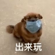 历史回顾出门一定要戴口罩哦