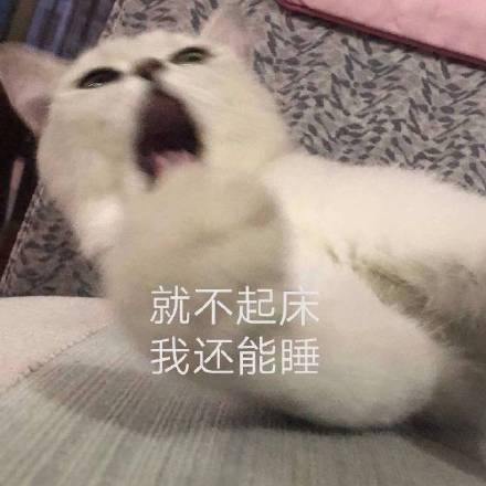 起床表情包起床微信表情包起床qq表情包发表情fabiaoqing.com