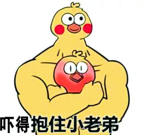 dnf天无绝人之路但老马有啊