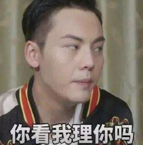 陈伟霆,这只大可爱有点意思