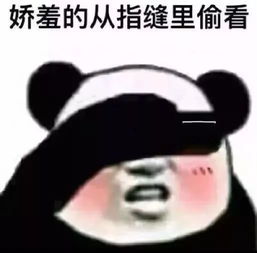 第十三十四周文明监督部工作汇报