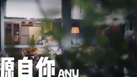 靳东贺涵微表情cut撩妹情话混剪