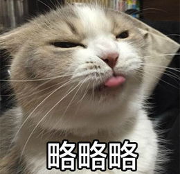 反击略略略gif动态表情包