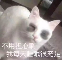 偷窥大学生真实的一天,震惊了