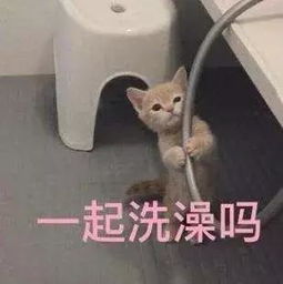 雨过立秋,带来老南京的立秋回忆...这些事,你啊晓得啊