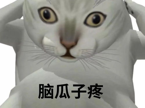 可爱卖萌趣味搞笑表情包