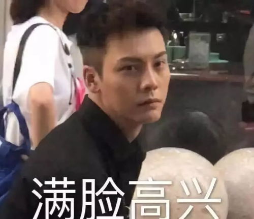 陈伟霆老婆表情包窦靖童