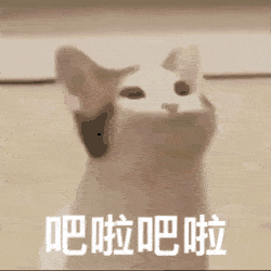 自创皮肤大哈鱼1