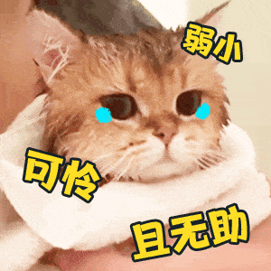 舔狗动态图表情包恶臭女孩